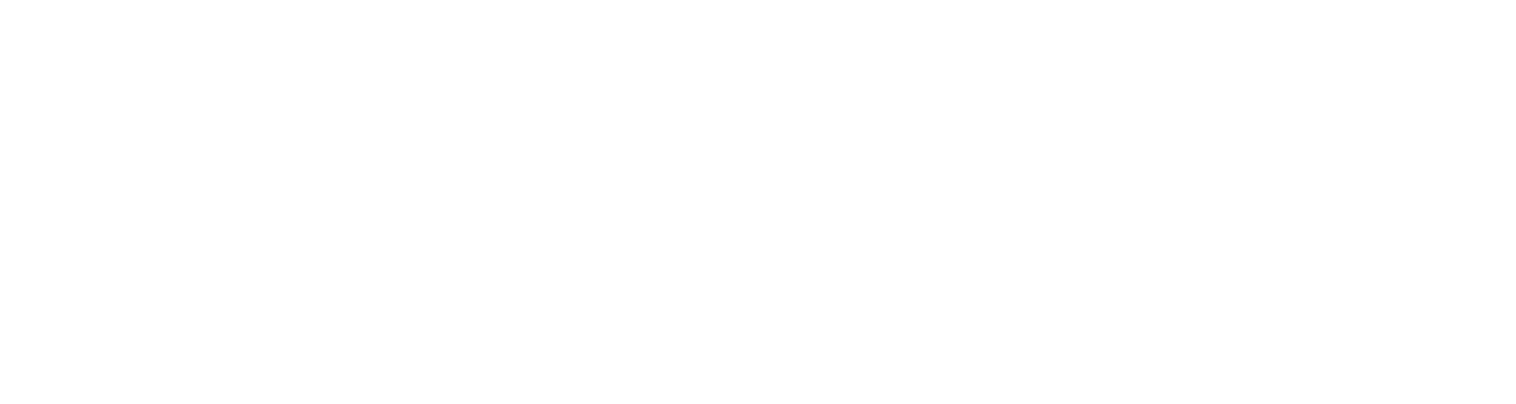 Logo de la compagnie boza